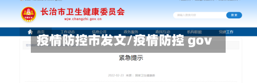 疫情防控市发文/疫情防控 gov-第2张图片