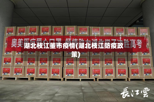 湖北枝江董市疫情(湖北枝江防疫政策)