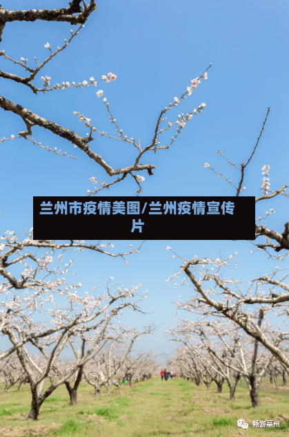 兰州市疫情美图/兰州疫情宣传片