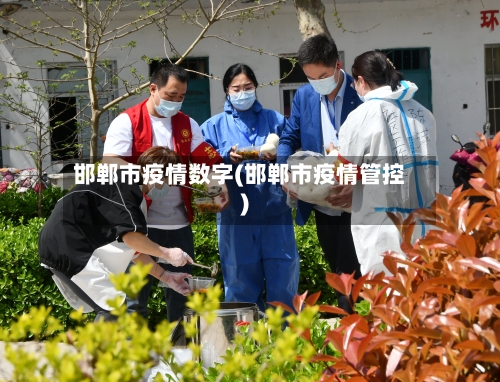 邯郸市疫情数字(邯郸市疫情管控)-第2张图片