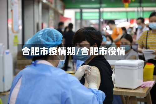 合肥市疫情期/合肥市役情