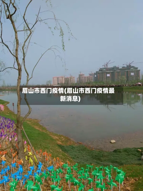 眉山市西门疫情(眉山市西门疫情最新消息)-第1张图片