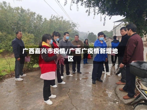 广西嘉兴市疫情/广西广疫情新增地区-第2张图片