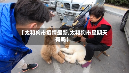 【太和狗市疫情最新,太和狗市星期天有吗】-第1张图片