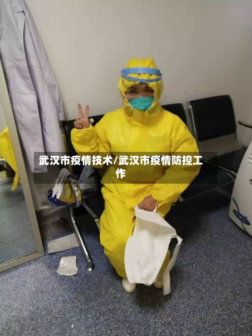 武汉市疫情技术/武汉市疫情防控工作-第3张图片