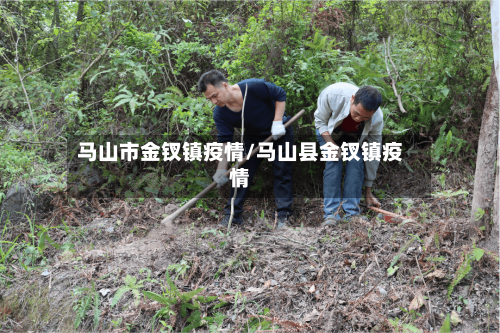 马山市金钗镇疫情/马山县金钗镇疫情-第1张图片