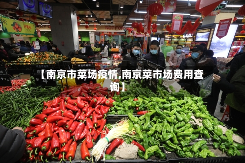 【南京市菜场疫情,南京菜市场费用查询】-第2张图片