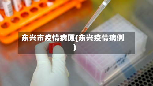 东兴市疫情病原(东兴疫情病例)-第2张图片