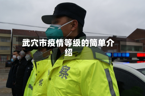 武穴市疫情等级的简单介绍-第1张图片