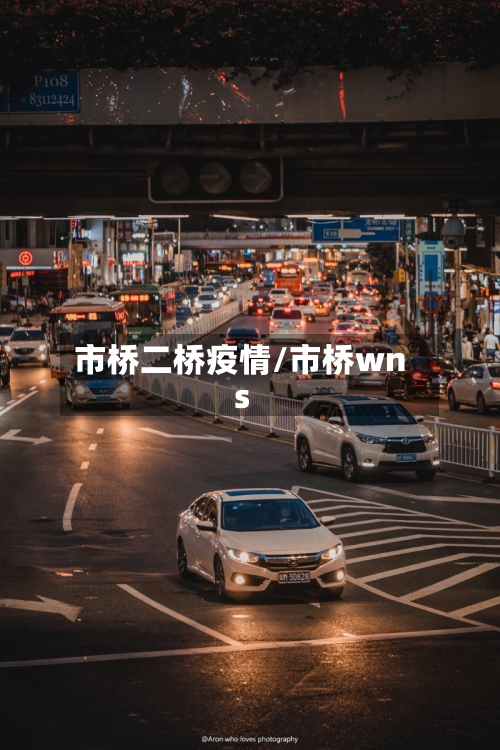 市桥二桥疫情/市桥wns-第1张图片