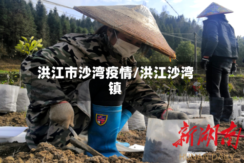 洪江市沙湾疫情/洪江沙湾镇-第1张图片