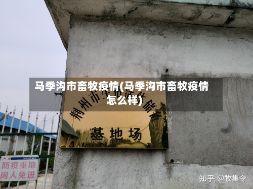 马季沟市畜牧疫情(马季沟市畜牧疫情怎么样)-第1张图片