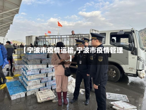 【宁波市疫情运输,宁波市疫情管理】-第1张图片