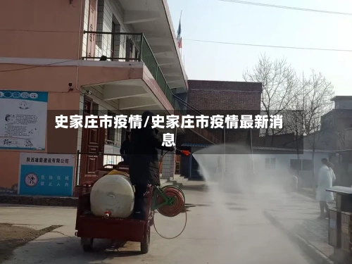 史家庄市疫情/史家庄市疫情最新消息-第2张图片