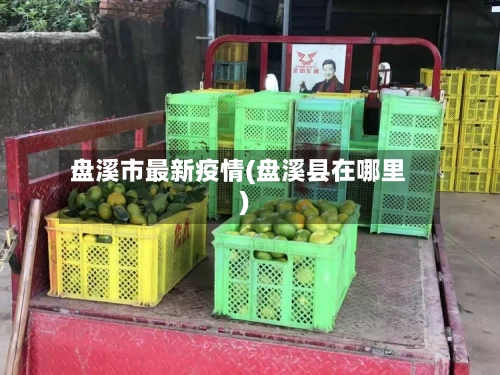 盘溪市最新疫情(盘溪县在哪里)-第1张图片