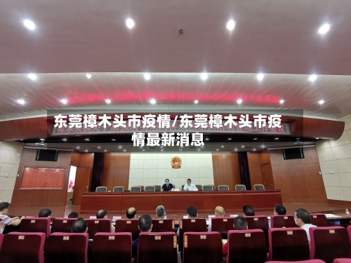 东莞樟木头市疫情/东莞樟木头市疫情最新消息-第3张图片