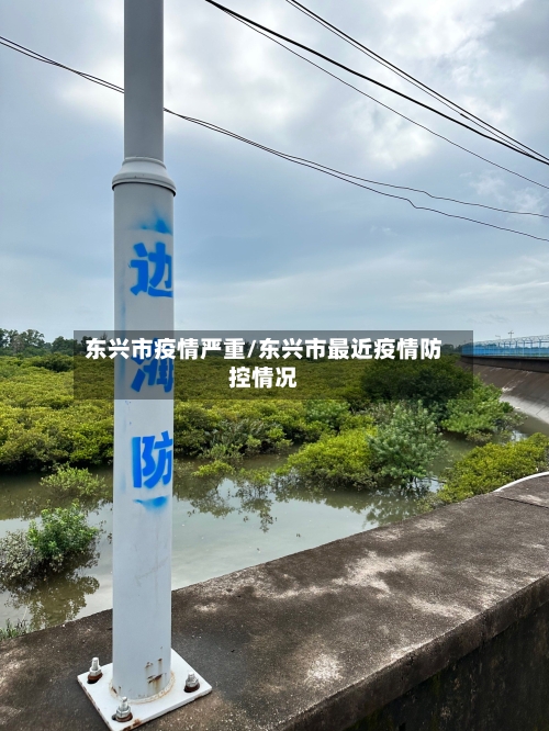 东兴市疫情严重/东兴市最近疫情防控情况-第1张图片