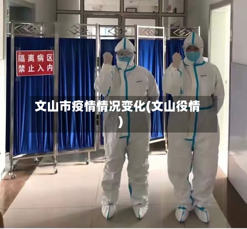 文山市疫情情况变化(文山役情)-第2张图片