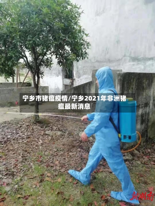 宁乡市猪瘟疫情/宁乡2021年非洲猪瘟最新消息-第1张图片