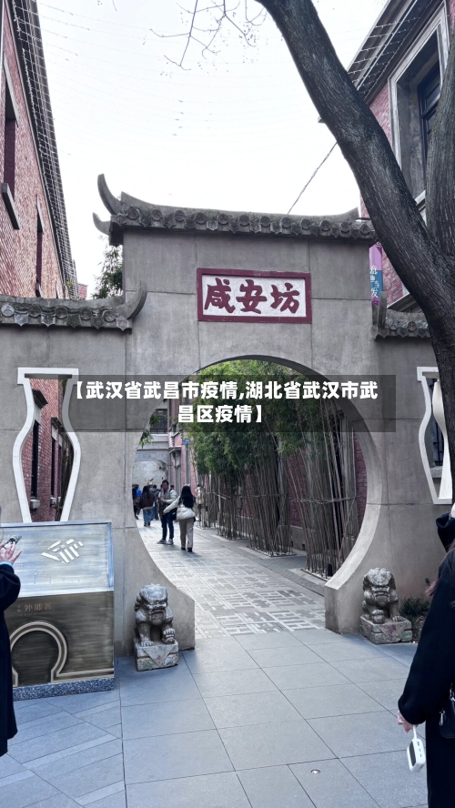 【武汉省武昌市疫情,湖北省武汉市武昌区疫情】-第1张图片