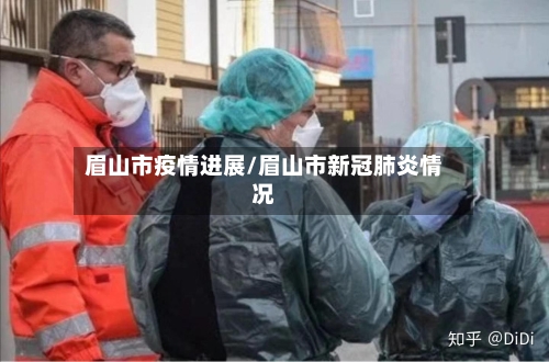 眉山市疫情进展/眉山市新冠肺炎情况-第2张图片