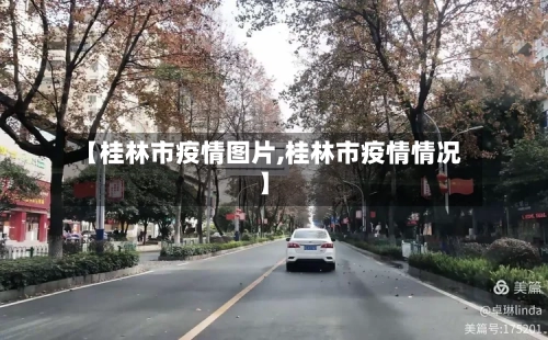 【桂林市疫情图片,桂林市疫情情况】-第2张图片