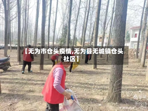 【无为市仓头疫情,无为县无城镇仓头社区】-第2张图片