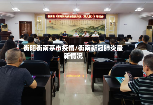 衡阳衡南茅市疫情/衡南新冠肺炎最新情况-第2张图片