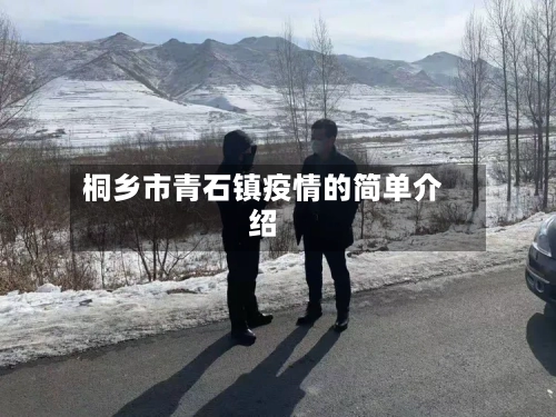 桐乡市青石镇疫情的简单介绍-第1张图片