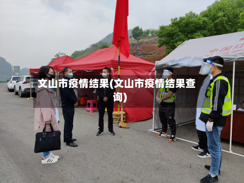 文山市疫情结果(文山市疫情结果查询)-第3张图片