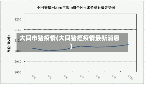 大同市猪疫情(大同猪瘟疫情最新消息)-第1张图片