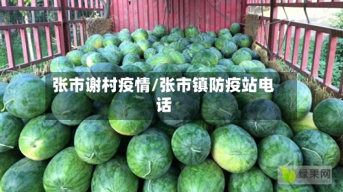 张市谢村疫情/张市镇防疫站电话-第1张图片