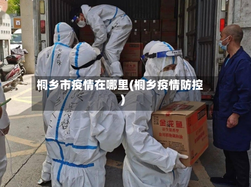 桐乡市疫情在哪里(桐乡疫情防控)-第1张图片