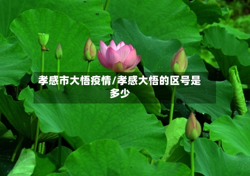 孝感市大悟疫情/孝感大悟的区号是多少-第1张图片