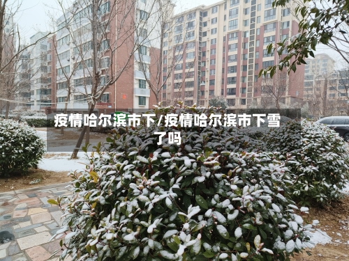 疫情哈尔滨市下/疫情哈尔滨市下雪了吗-第2张图片