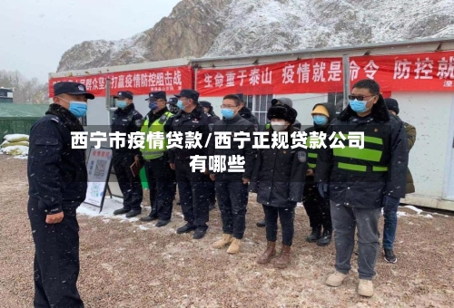 西宁市疫情贷款/西宁正规贷款公司有哪些-第1张图片