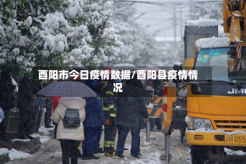 酉阳市今日疫情数据/酉阳县疫情情况-第1张图片