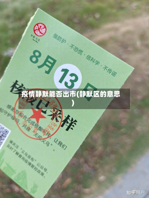 疫情静默能否出市(静默区的意思)-第1张图片