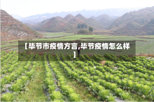 【毕节市疫情方言,毕节疫情怎么样】-第3张图片