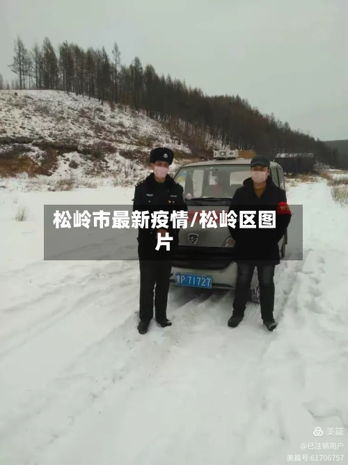 松岭市最新疫情/松岭区图片-第2张图片