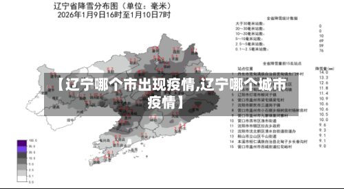【辽宁哪个市出现疫情,辽宁哪个城市疫情】-第3张图片