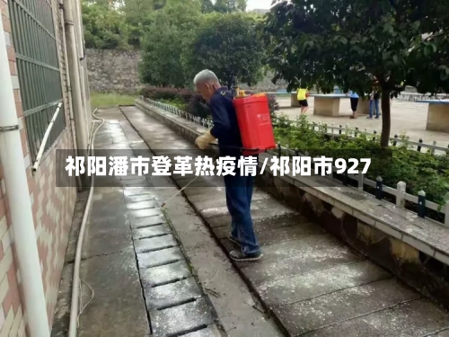 祁阳潘市登革热疫情/祁阳市927-第1张图片