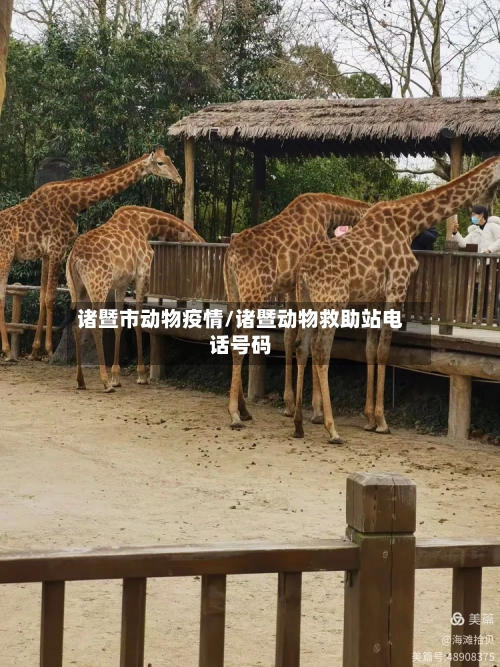 诸暨市动物疫情/诸暨动物救助站电话号码-第3张图片