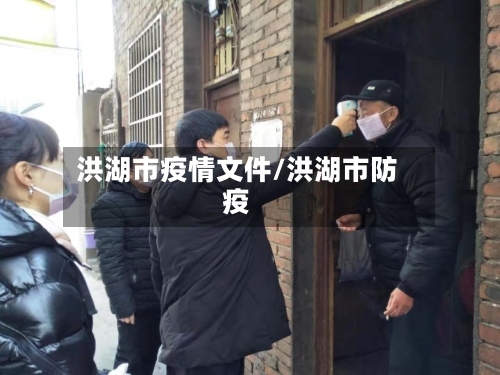 洪湖市疫情文件/洪湖市防疫-第1张图片