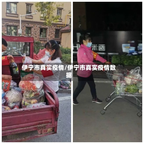 伊宁市真实疫情/伊宁市真实疫情数据-第1张图片