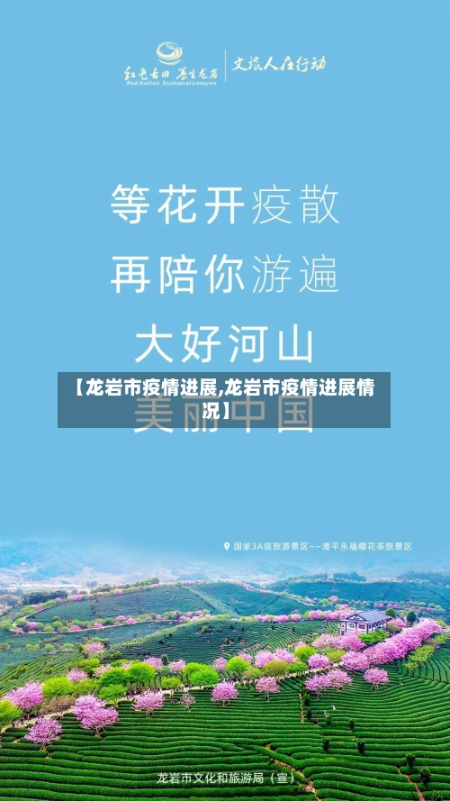 【龙岩市疫情进展,龙岩市疫情进展情况】-第1张图片
