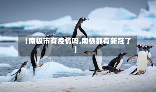 【南极市有疫情吗,南极都有新冠了】-第2张图片