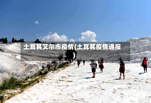 土耳其艾尔市疫情(土耳其疫情通报)-第1张图片